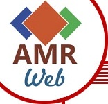 AMR Web: SEO Specialist